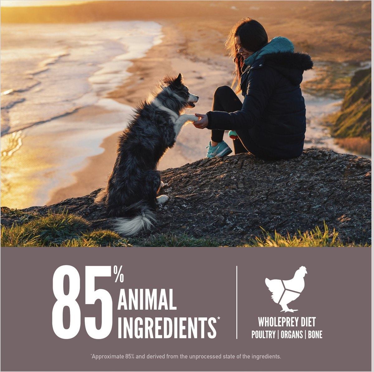 ORIJEN Fit and Trim Grain-Free Dry Dog Food