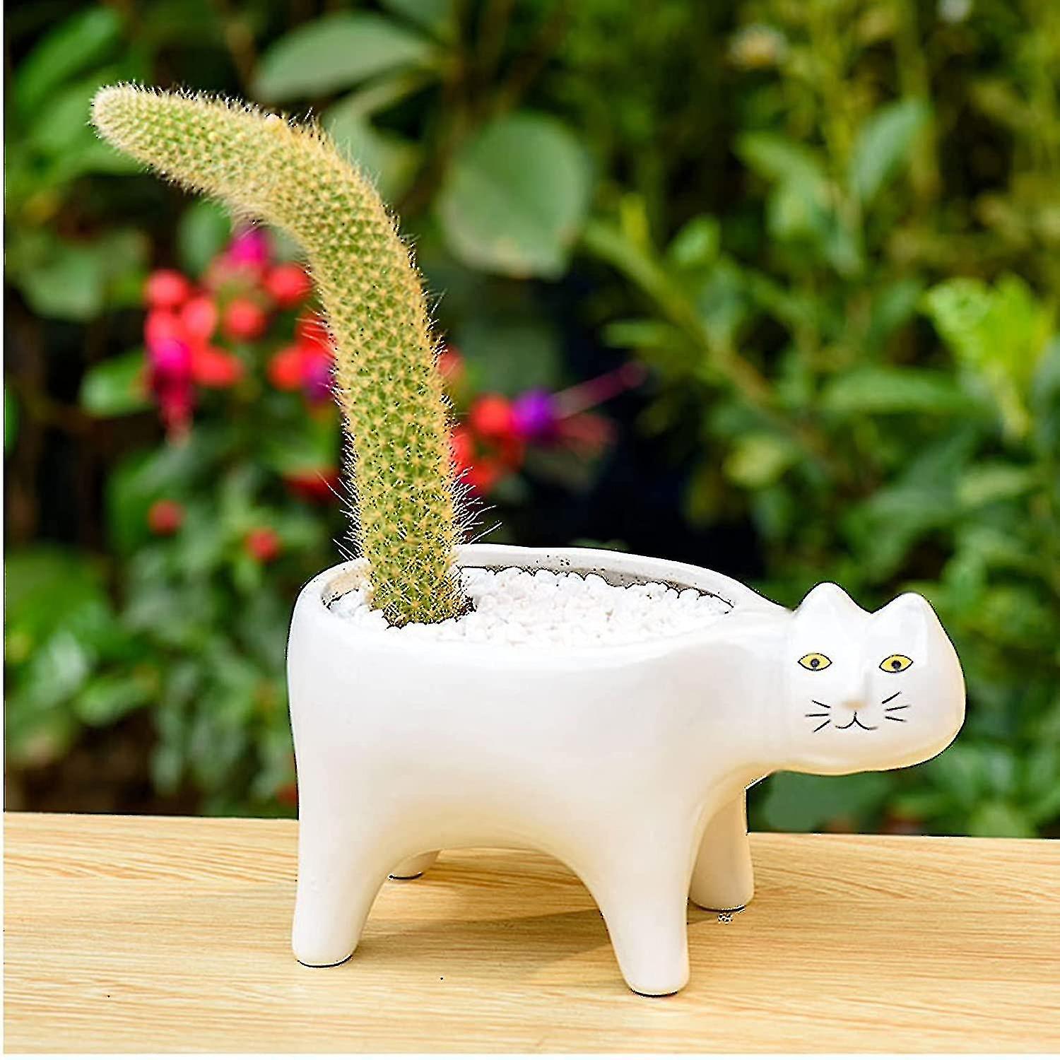 Succulent Plants Pots Of 2 Colors Ceramic Cat， Decorative Ceramic Flower Planter Pot With Drainage