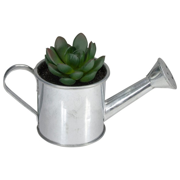 Tropical Rose Succulent In Water Can Artificial Potted Plant Green silver