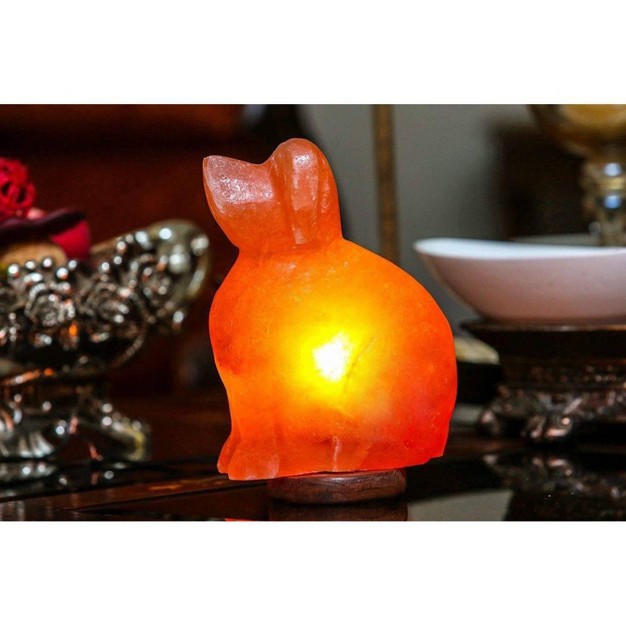 Dog Salt Lamp Pink Q amp a Himalayan Salt