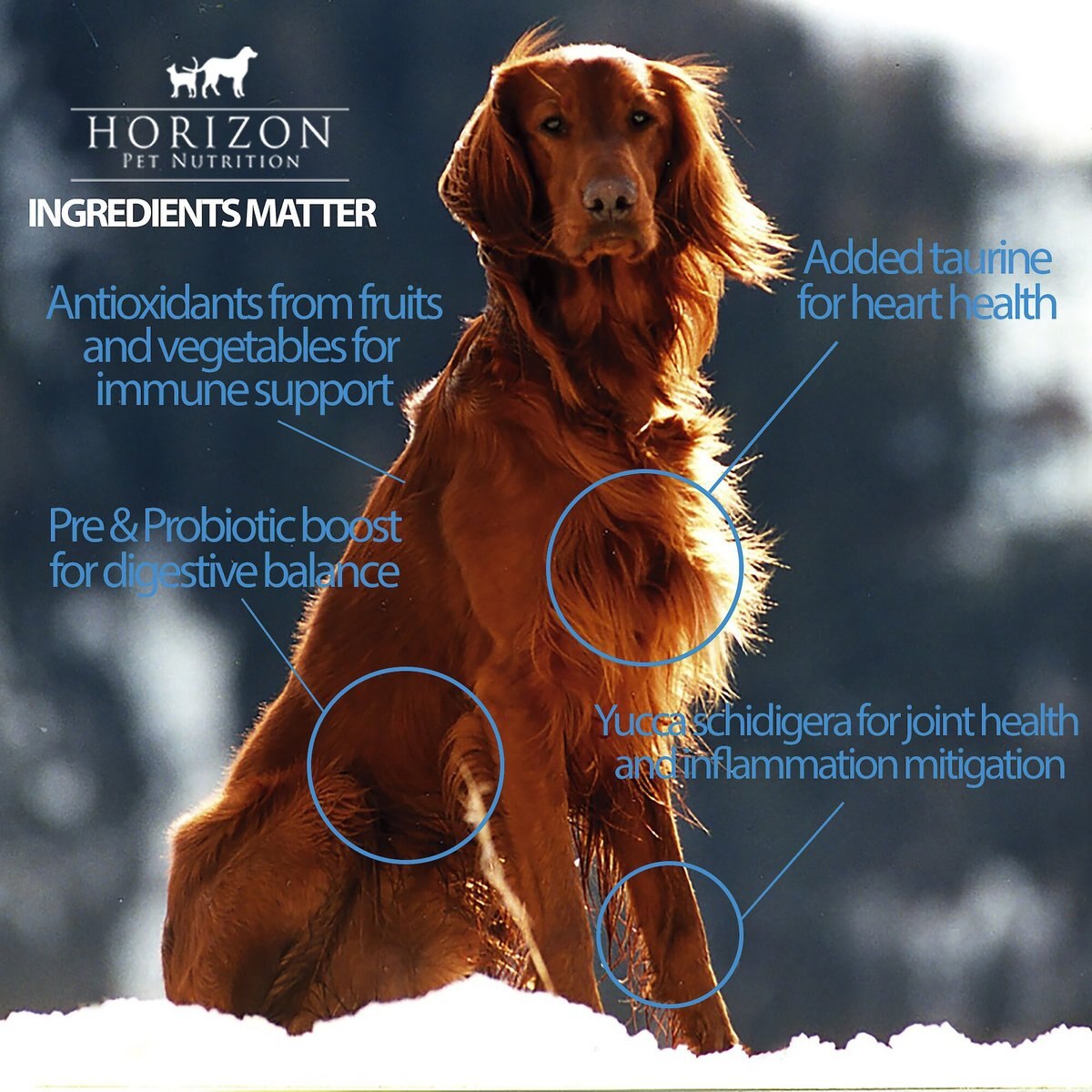 Horizon Complete Senior Weight Management Dry Dog Food