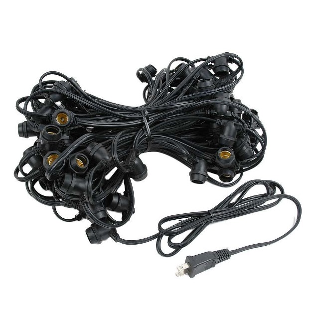 Novelty Lights Globe Outdoor String Lights With 25 In line Sockets Black Wire 25 Feet