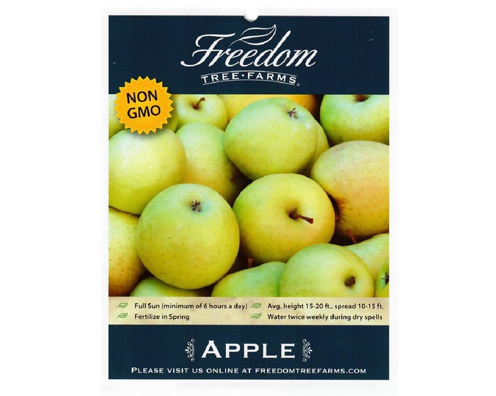 Freedom Tree Farms Mutsu Apple Tree in 5 Gallon Bucket