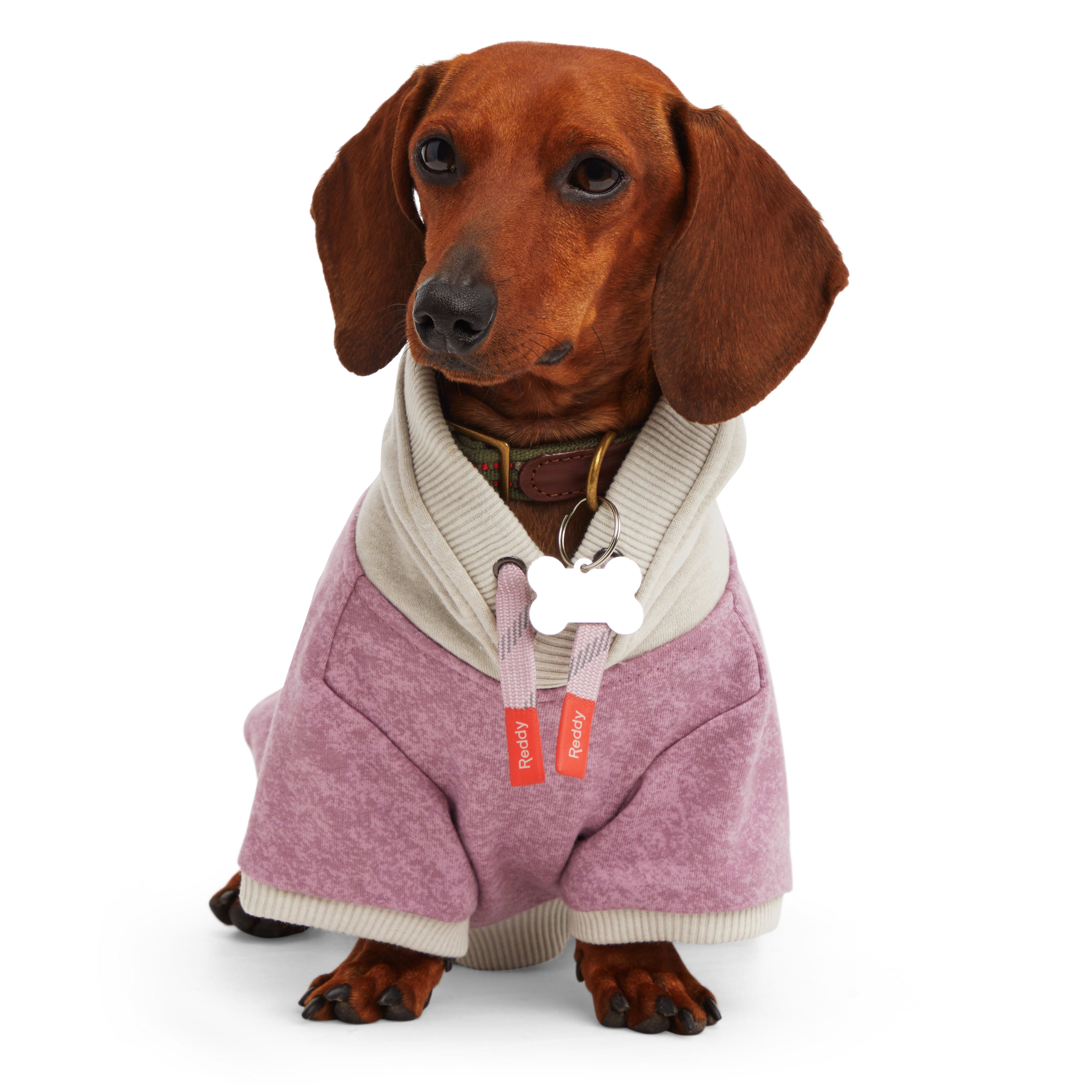 Reddy Mauve and Grey Washed Dog Hoodie， X-Small