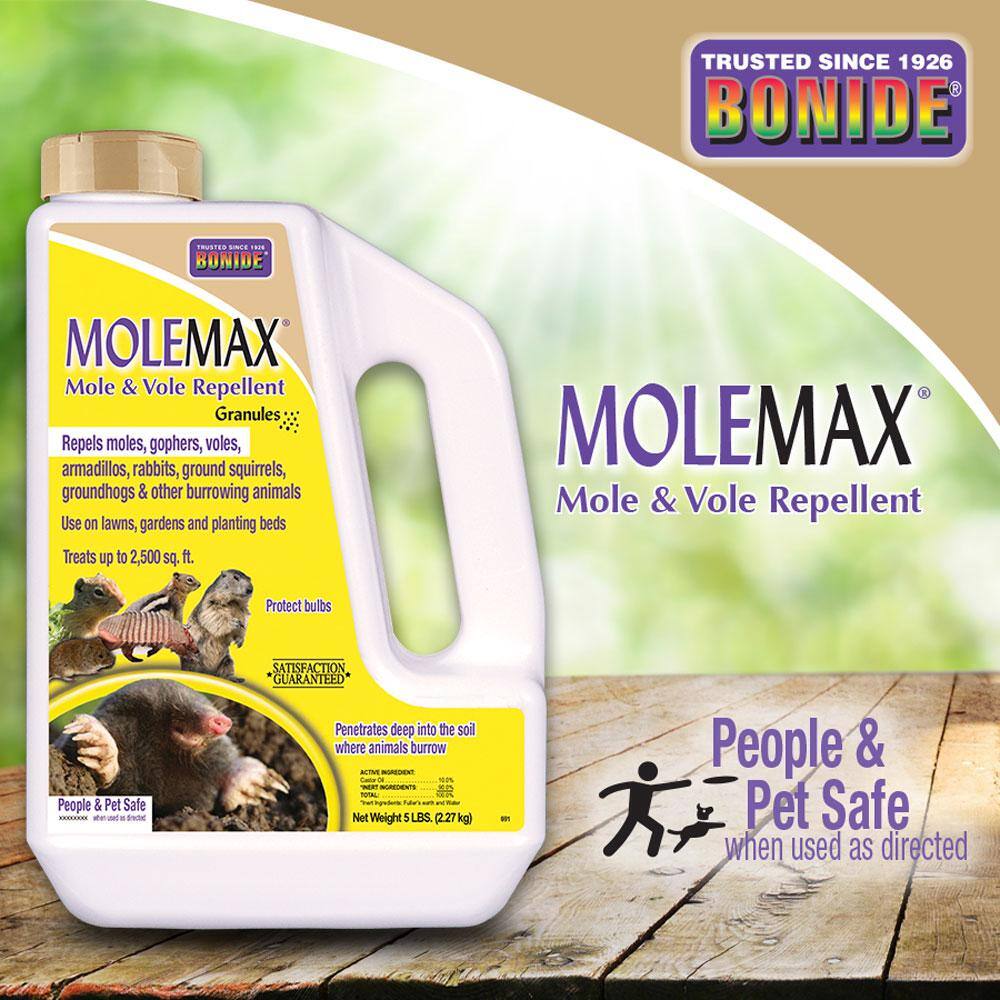 Bonide MoleMax Mole and Vole Repellent Granules 5 lbs. Ready-to-Use Lawn and Garden Mole Control People and Pet Safe 691