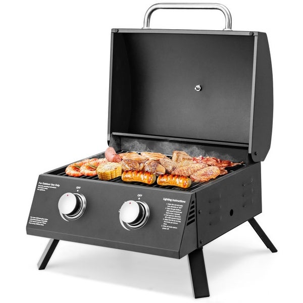 2-Burner Propane Gas Grill 20000 BTU Outdoor Portable with Thermometer - 22.5