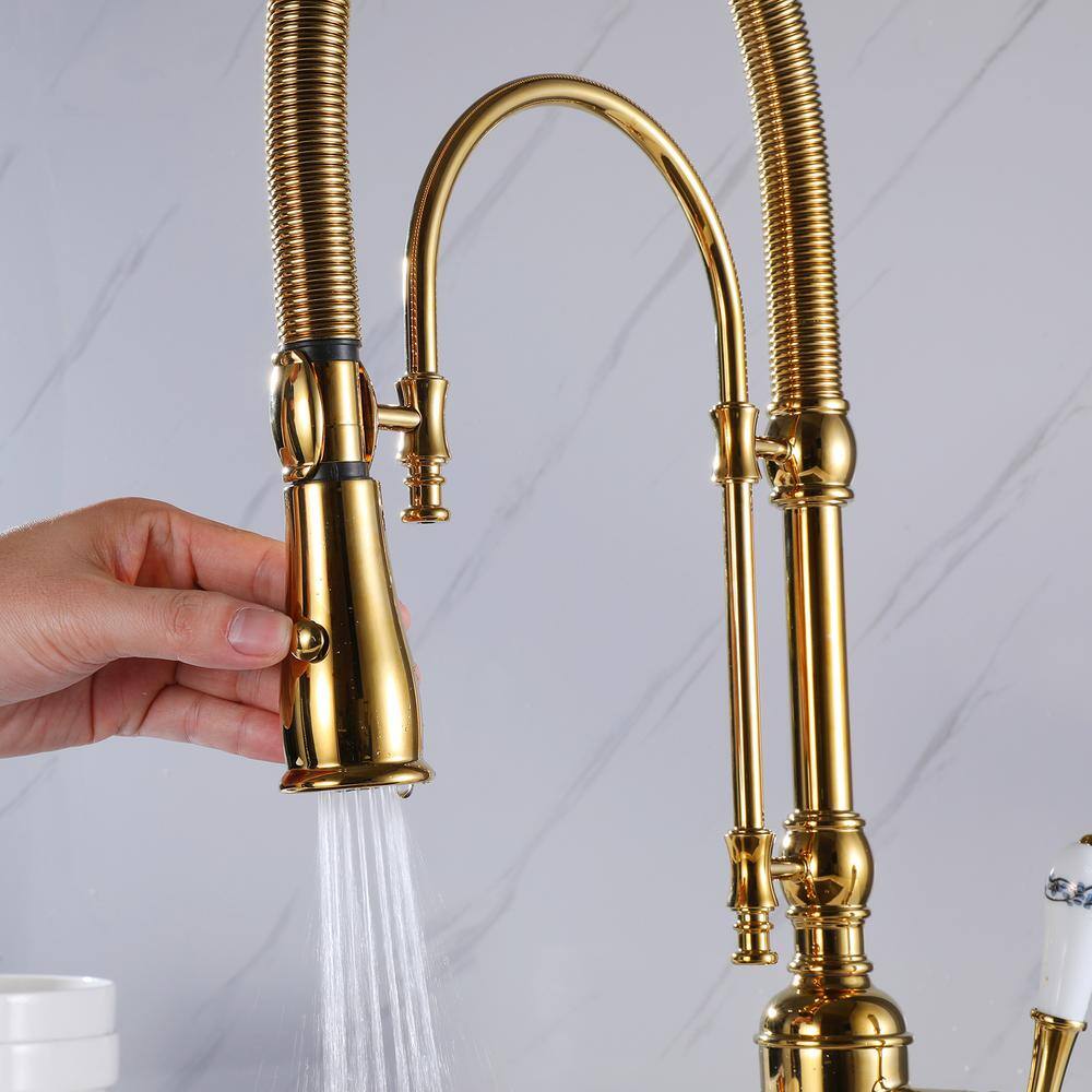 Tomfaucet Single-Handle Pull Down Sprayer Kitchen Faucet with Advanced 2-Setting Spray in Brushed Gold TFB0836BG