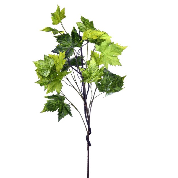 Artificial French Platanus Leaf Branch