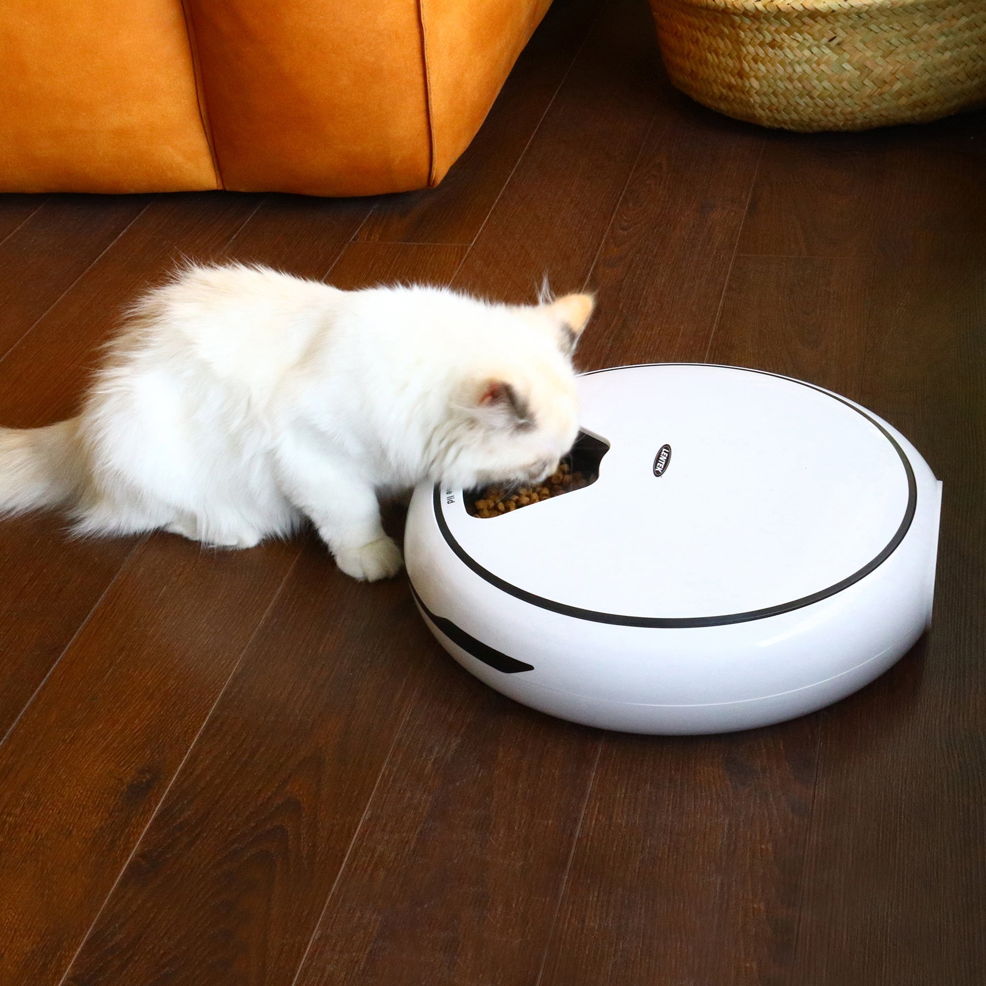 Lentek Programmable Five Meal Pet Dish with Voice Message， White