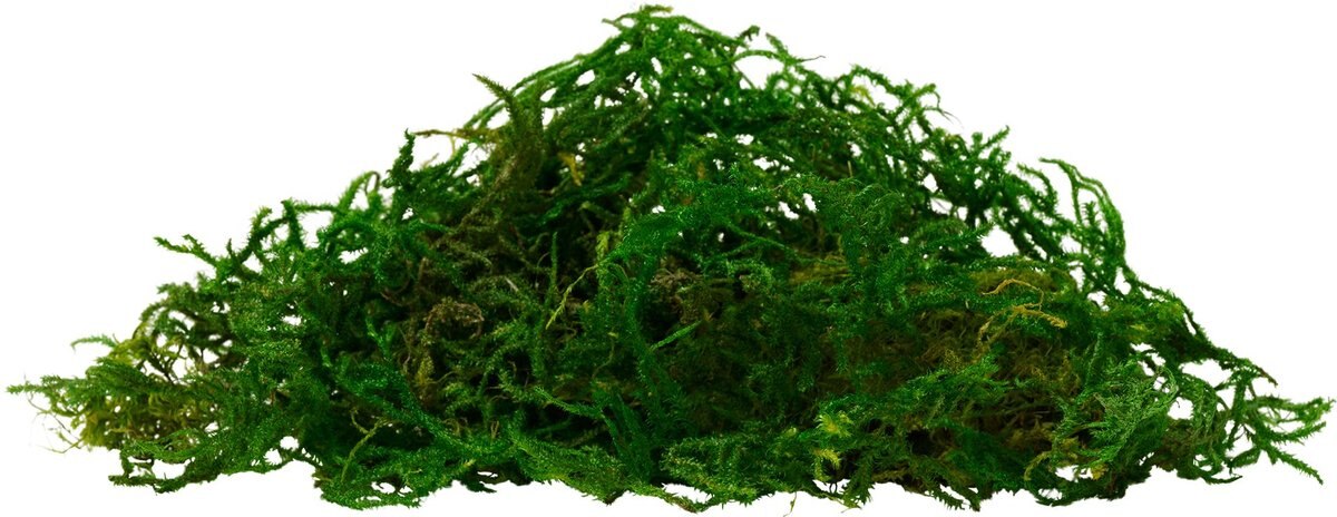 Frisco Terrarium Sphagnum Moss Reptile Bedding