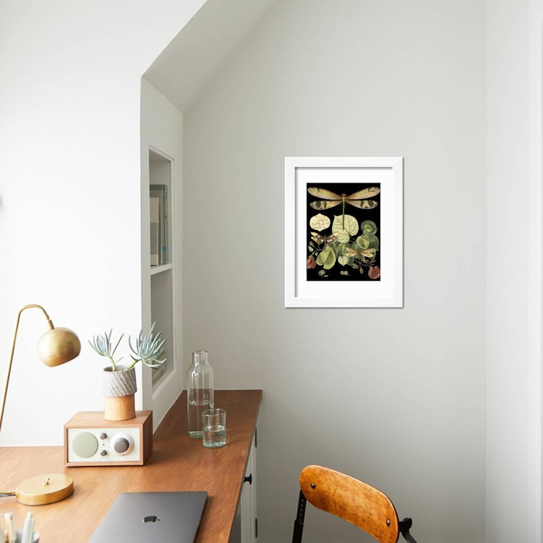 Whimsical Dragonfly on Black II Framed Print Wall Art by Vision Studio Sold by Art.Com