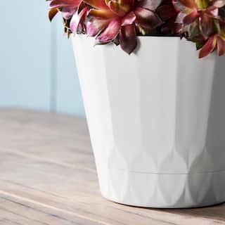 Vigoro 4.8 in. Concord Small White Recycled Plastic Planter (4.8 in. D x 4 in. H) with Attached Saucer DP1722UDPS1722