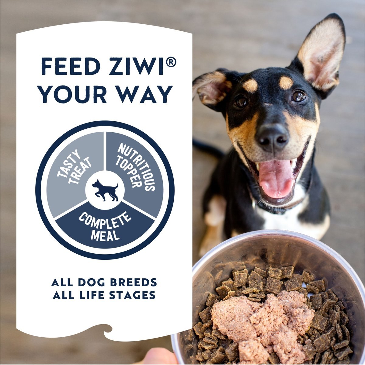 Ziwi Peak Lamb Recipe Canned Dog Food