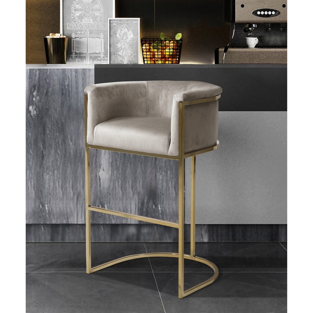 Silver Orchid Rowland Velvet Upholstered Bar/Counter Stool