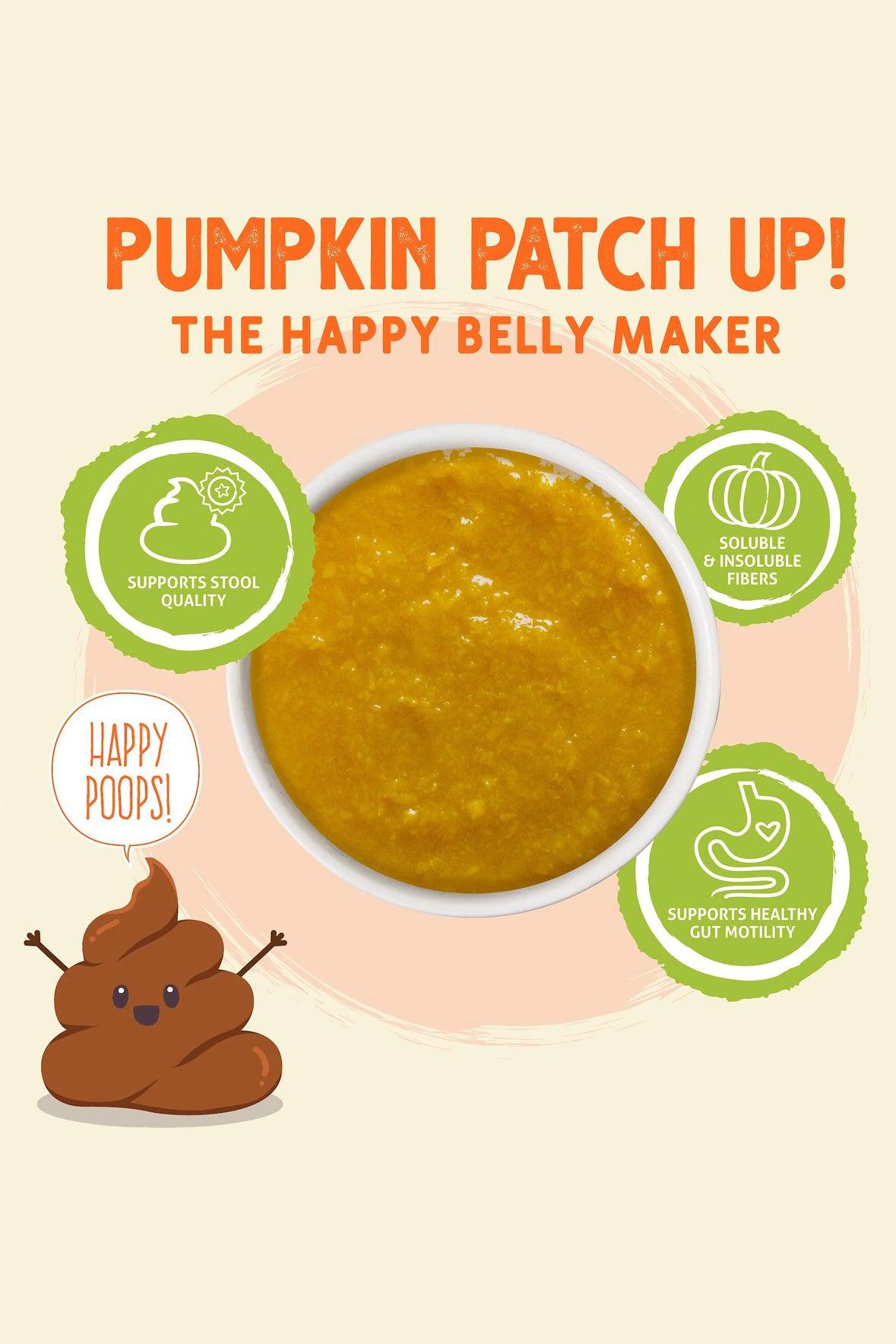 Weruva Pumpkin Patch Up! Ginger and Turmeric Supplement for Cats