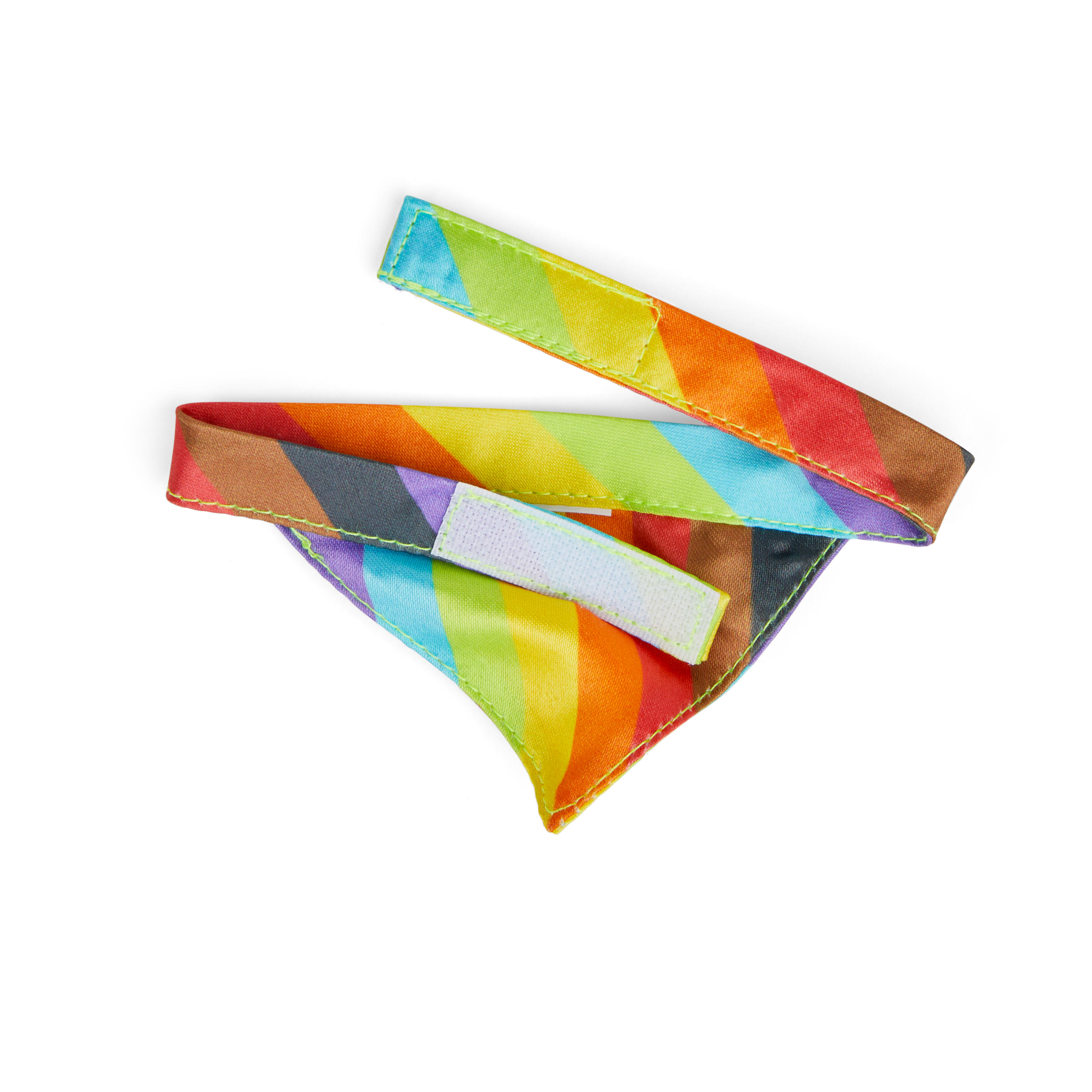 YOULY Guinea Pig Pride Bandana