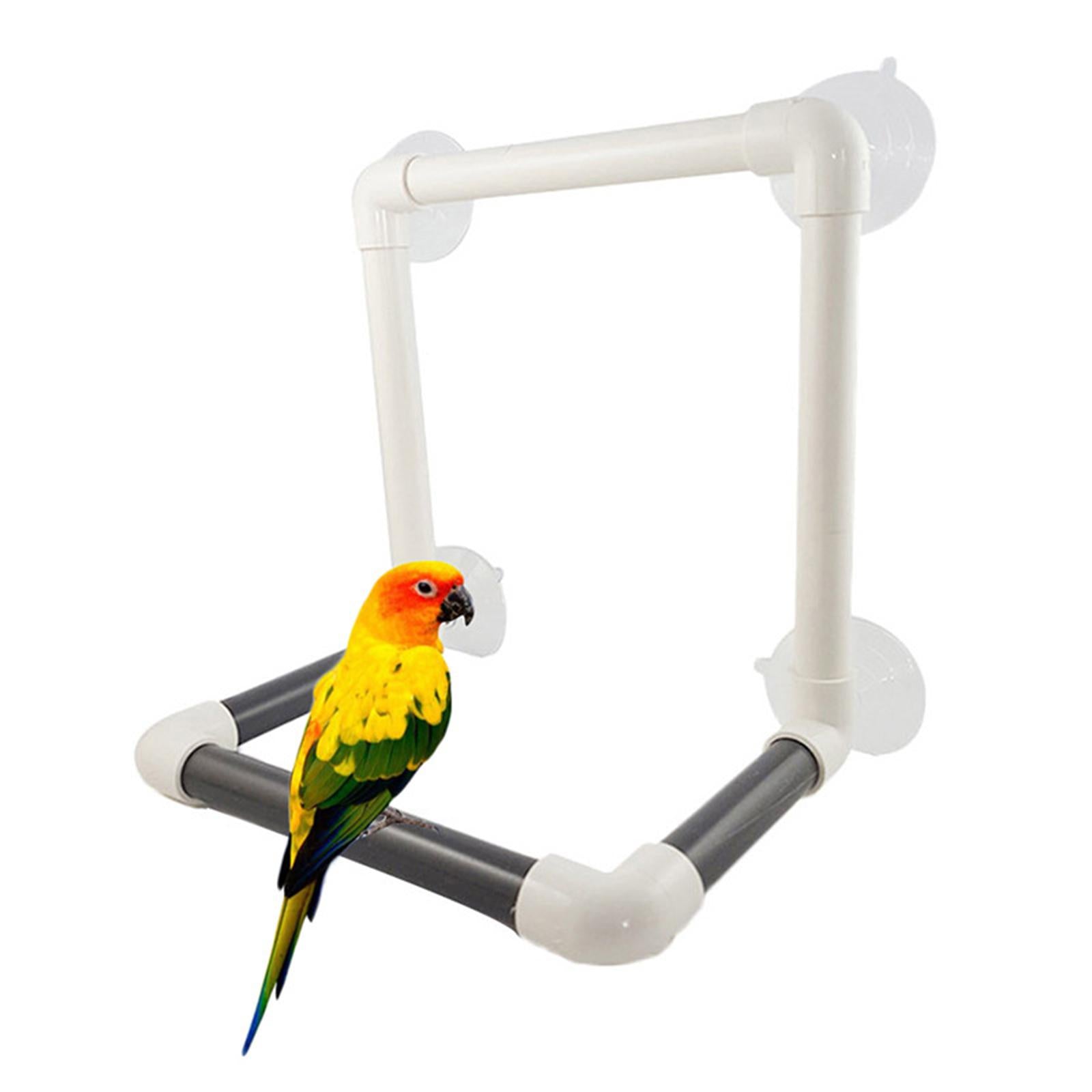 Plastic Bird Parrot Shower Perch Parrot 4 Suction Cups Bath Platform for Cockatoo