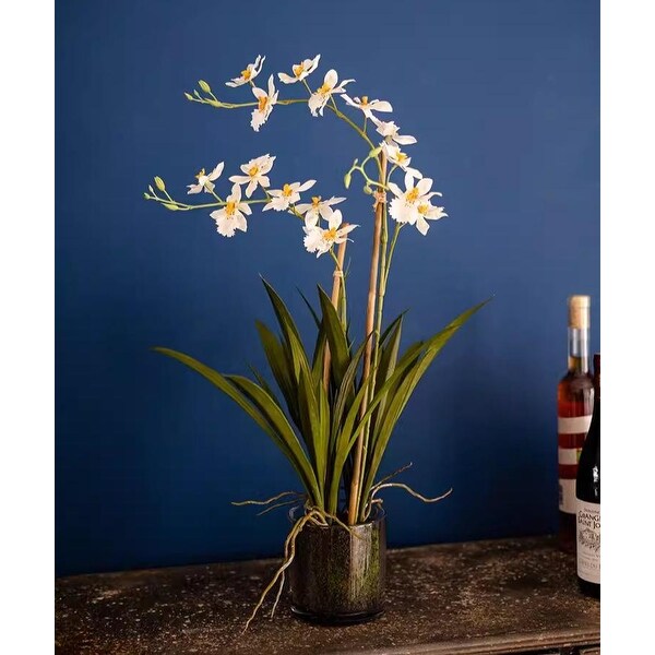 RusticReach White Hui Lan Orchid in Glass Pot