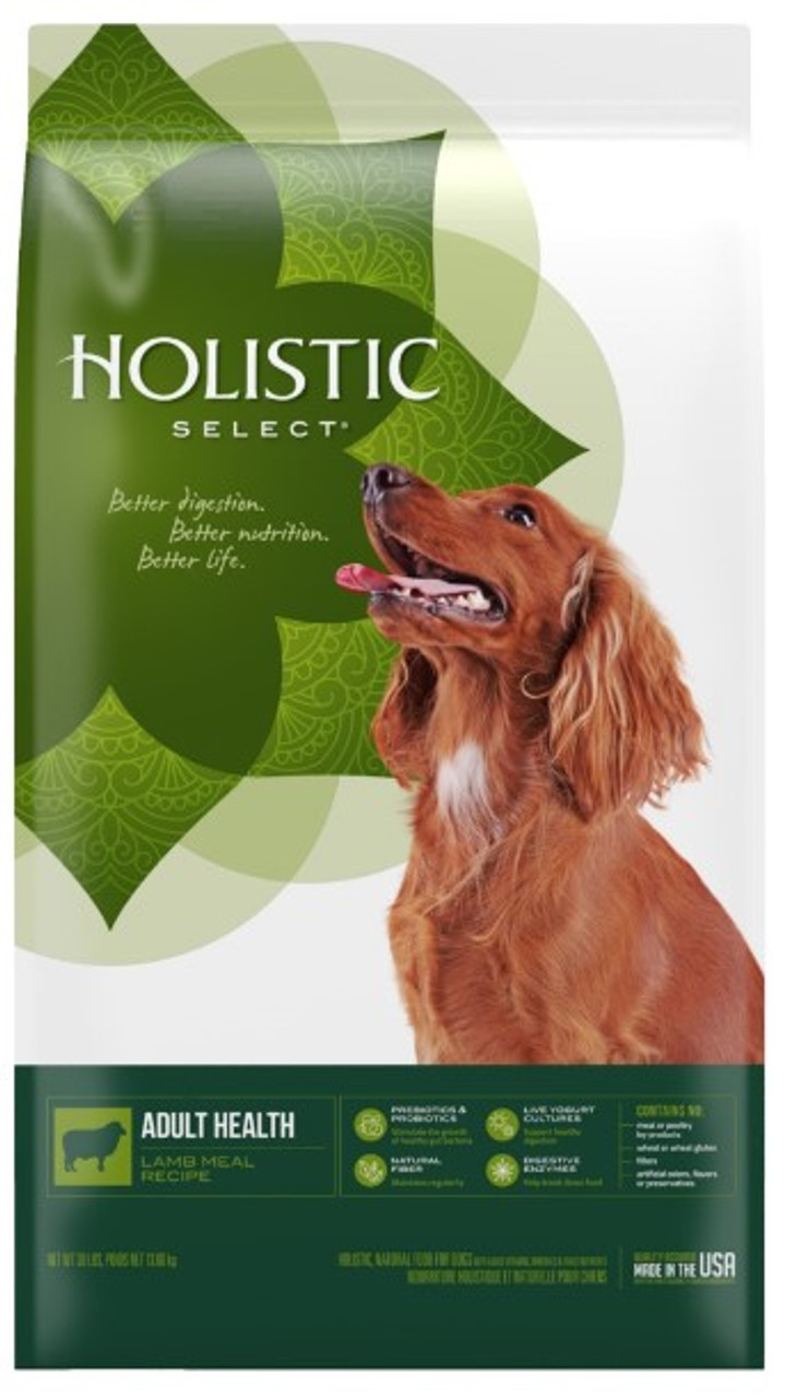 Holistic Select Lamb Meal Recipe Dry dog Food