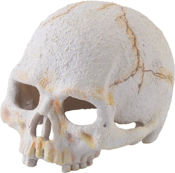 Exo Terra Primate Skull Reptile Hideout