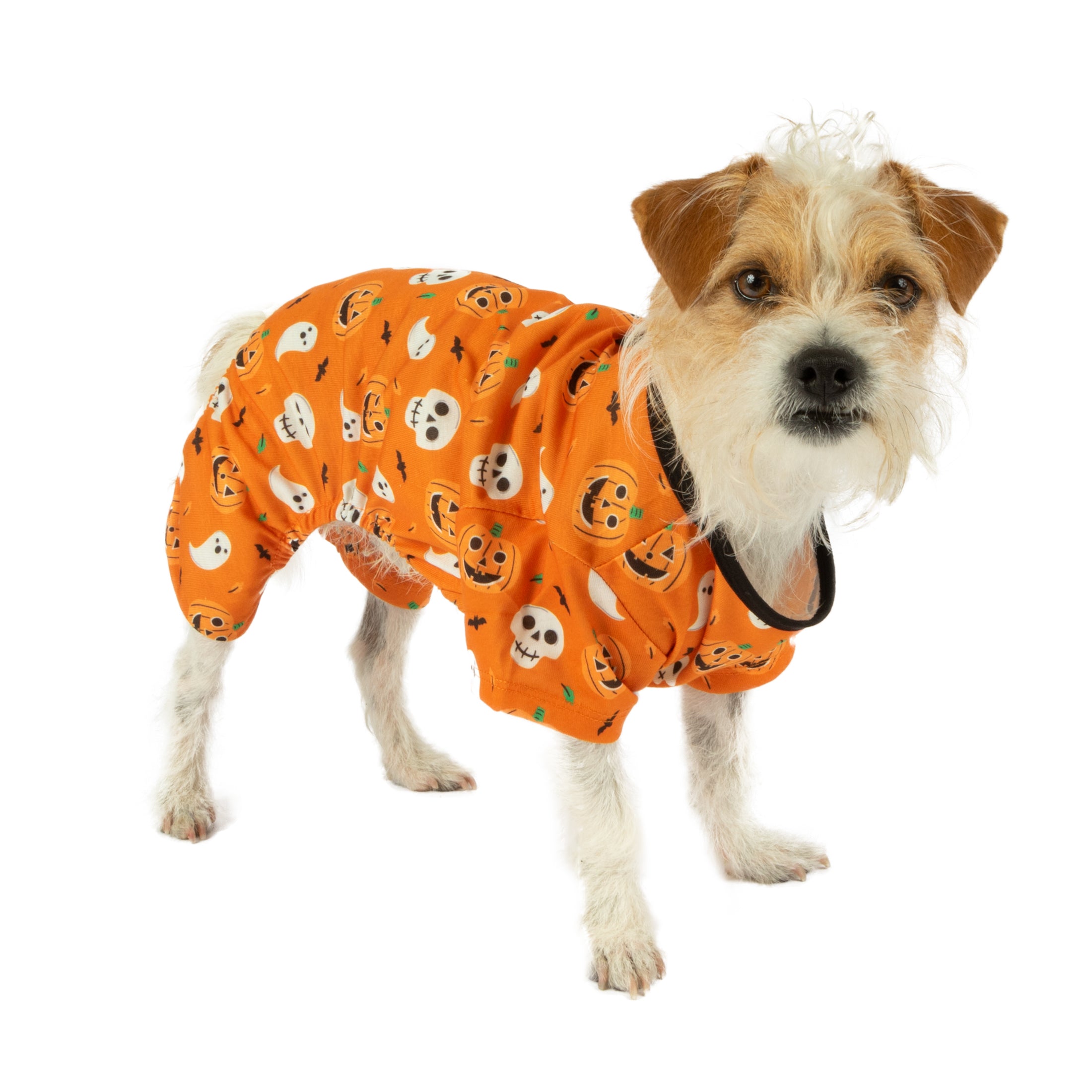 Vibrant Life Halloween Dog Clothes， Orange Pumpkin Ghost Pajama， for Dogs or Cats， Size Small