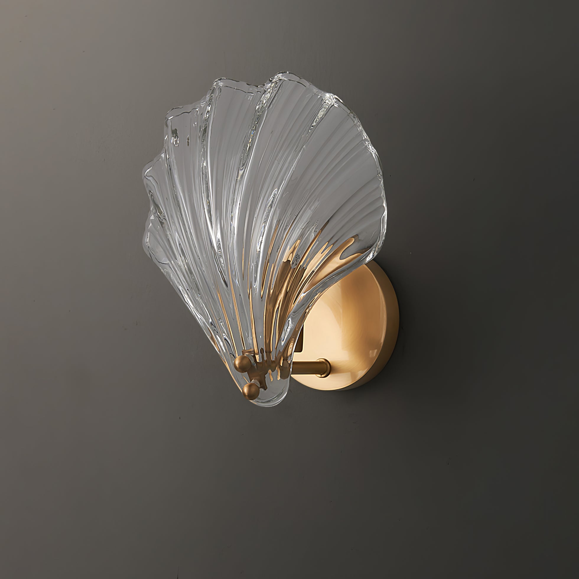 Shell Wall Light