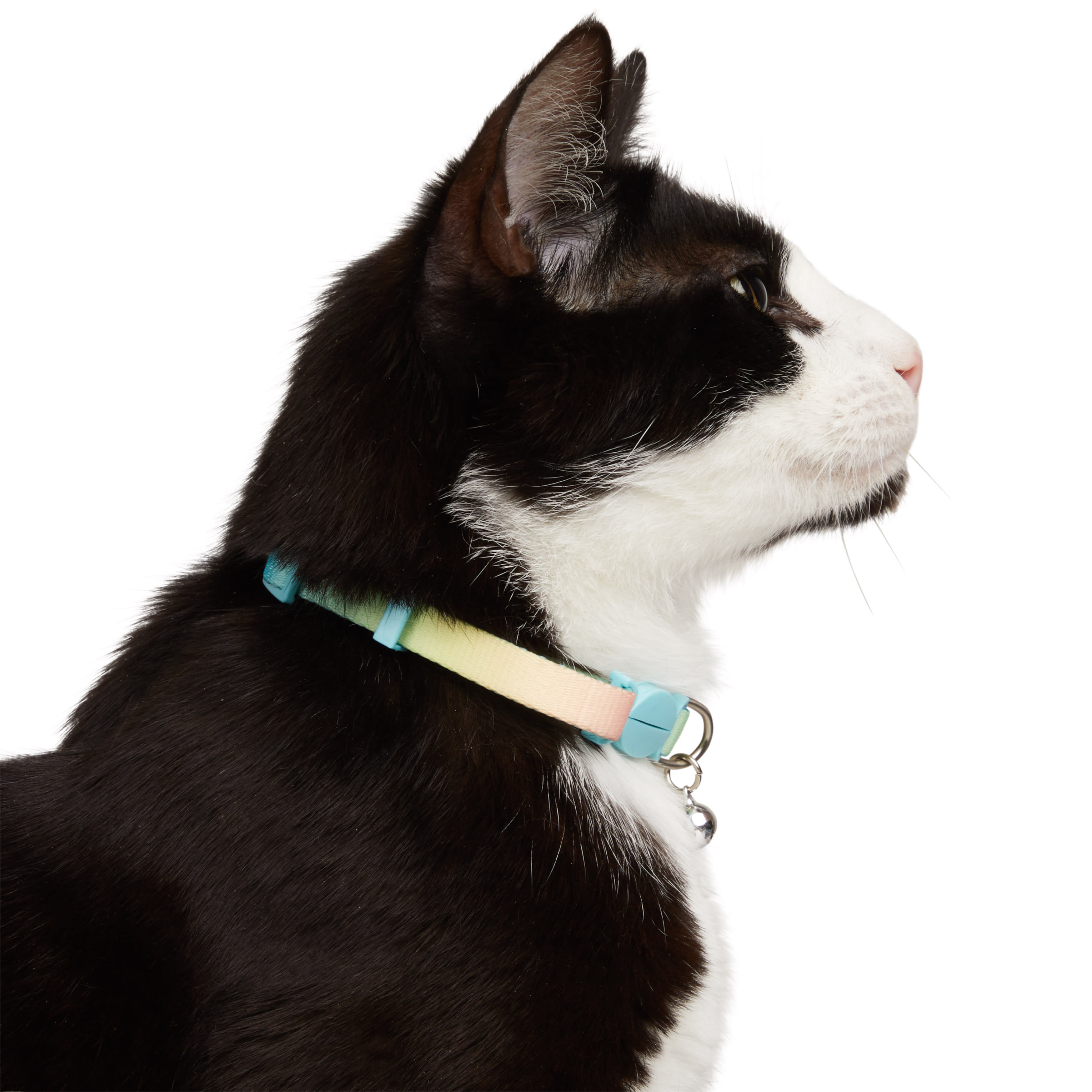 YOULY Orange Ombre Cat Collar