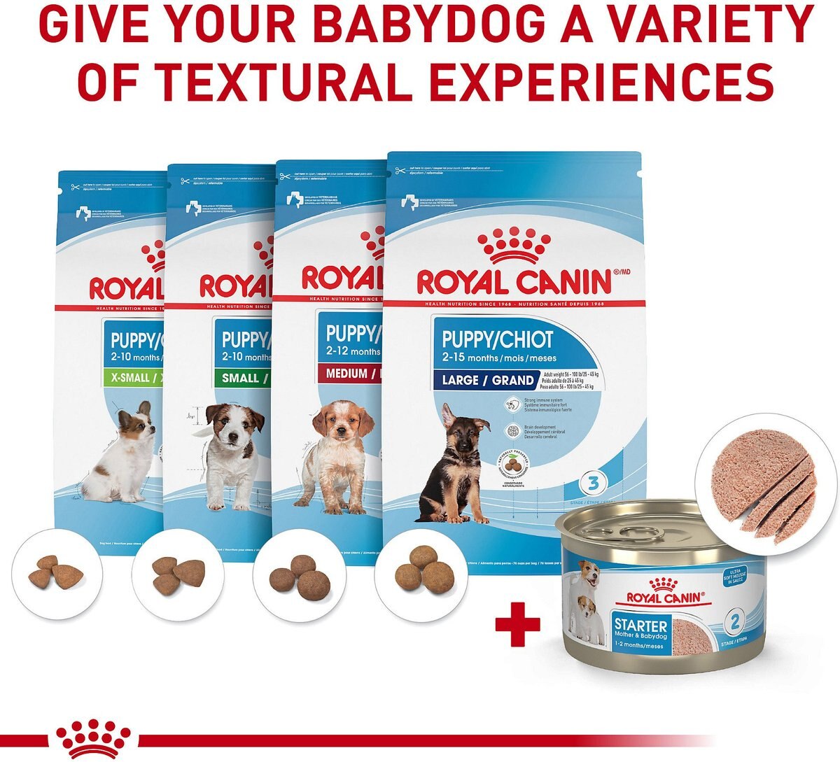 Royal Canin Size Health Nutrition Small Mother and Babydog Starter Mousse in Sauce Wet Dog Food