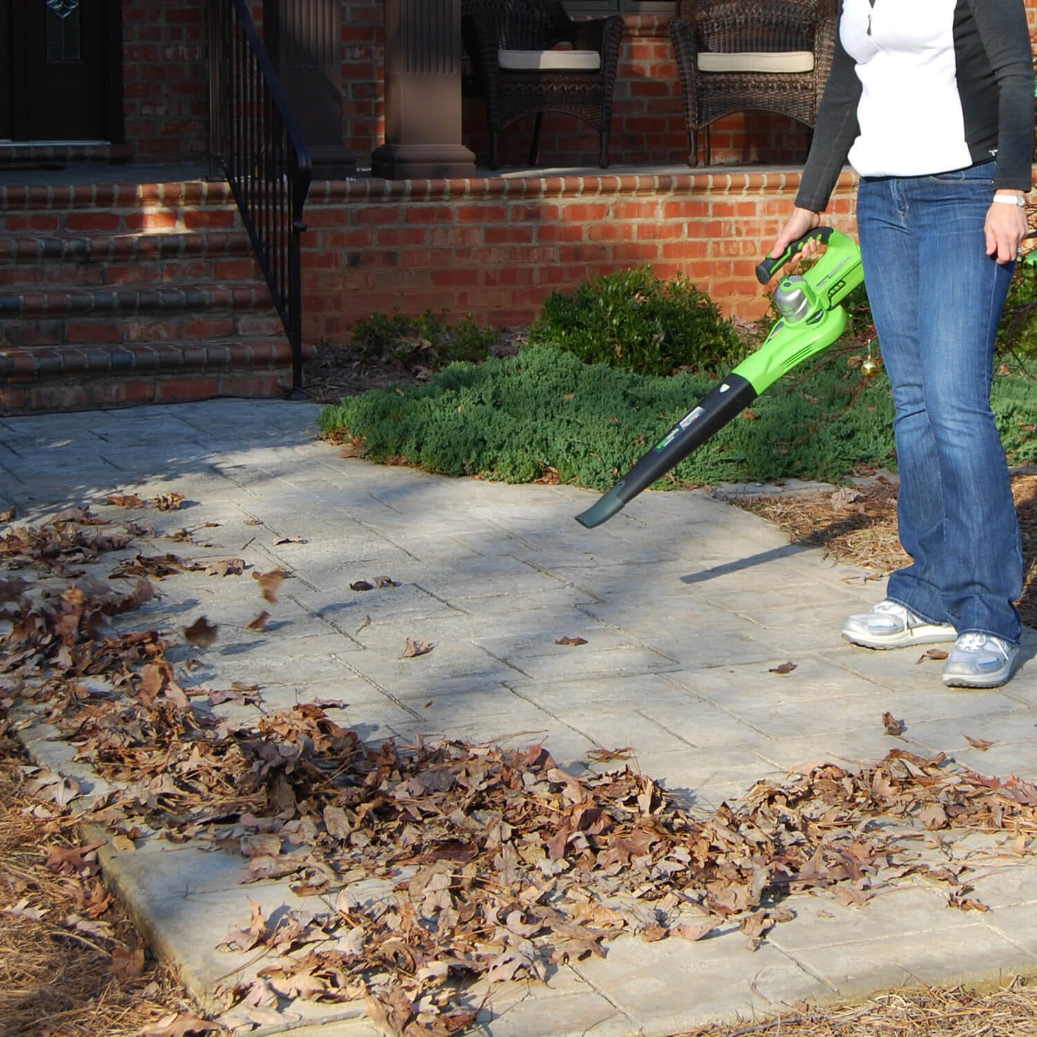 24V Cordless Leaf Blower / Sweeper w/ 2.0 Ah Battery | Greenworks