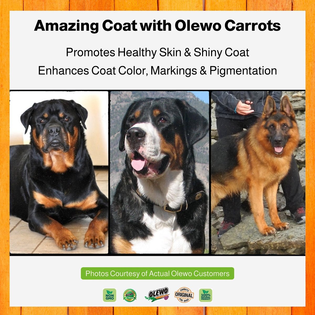 Olewo Digestive Health and Anti-Diarrhea Dehydrated Carrots Dog Food Topper