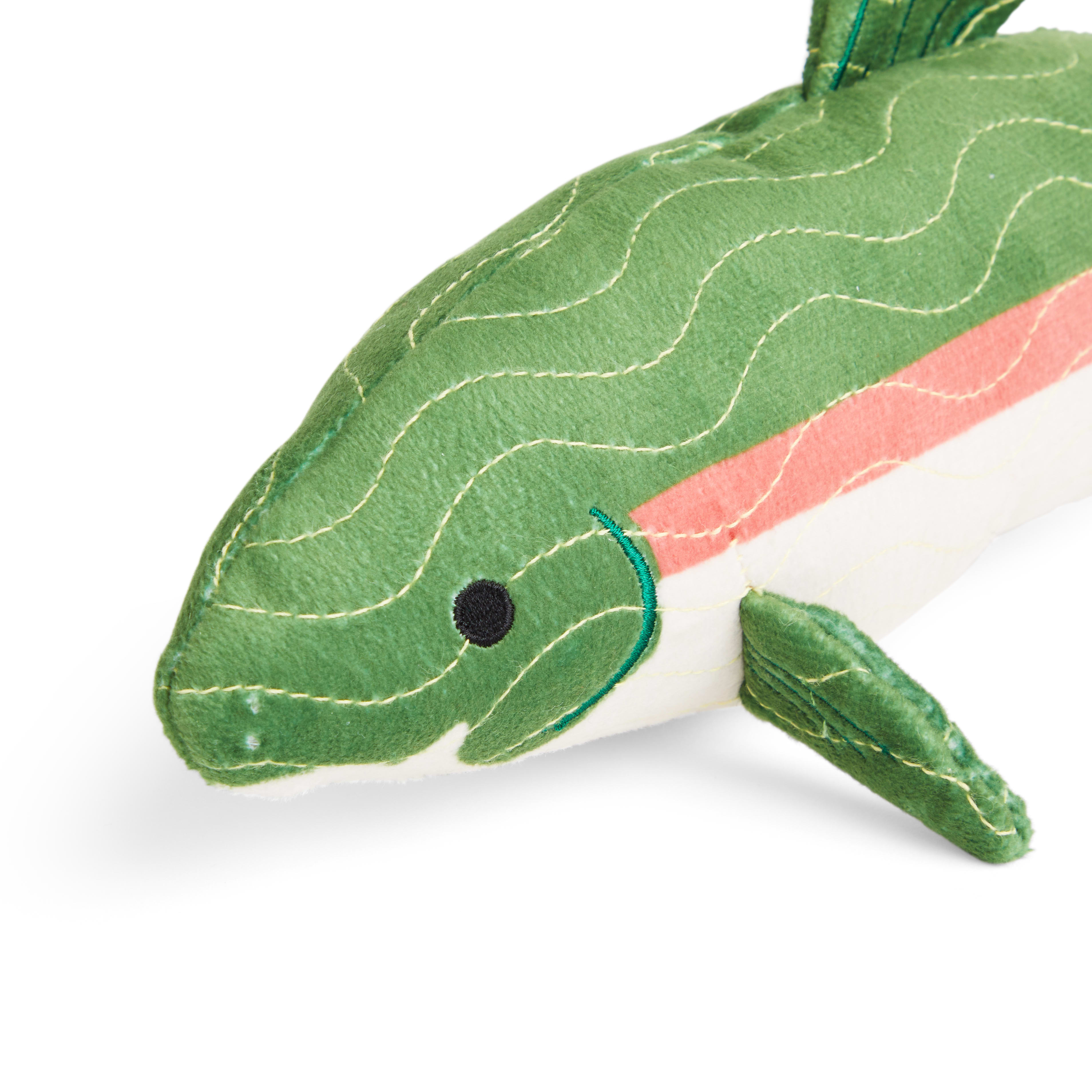 BACKCOUNTRY X PETCO Green Trout Tough Plush Dog Toy， X-Large