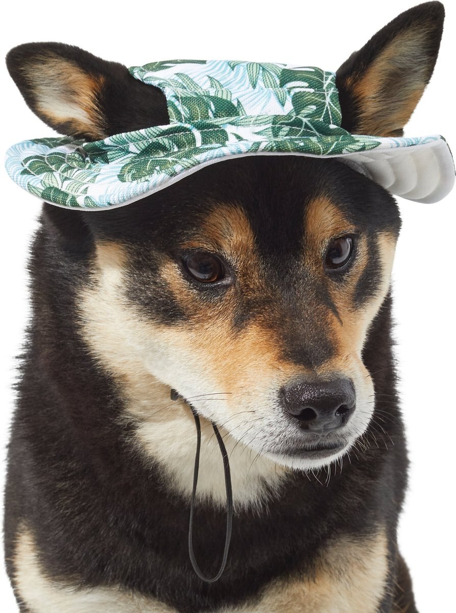 Frisco Palm Leaf Short Brimmed Bucket Dog and Cat Hat