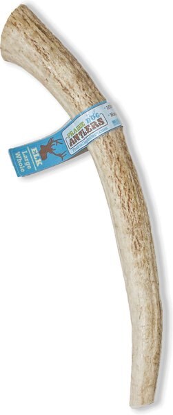 Prairie Dog Whole Elk Antler Dog Chews， 8 - 9.5 in