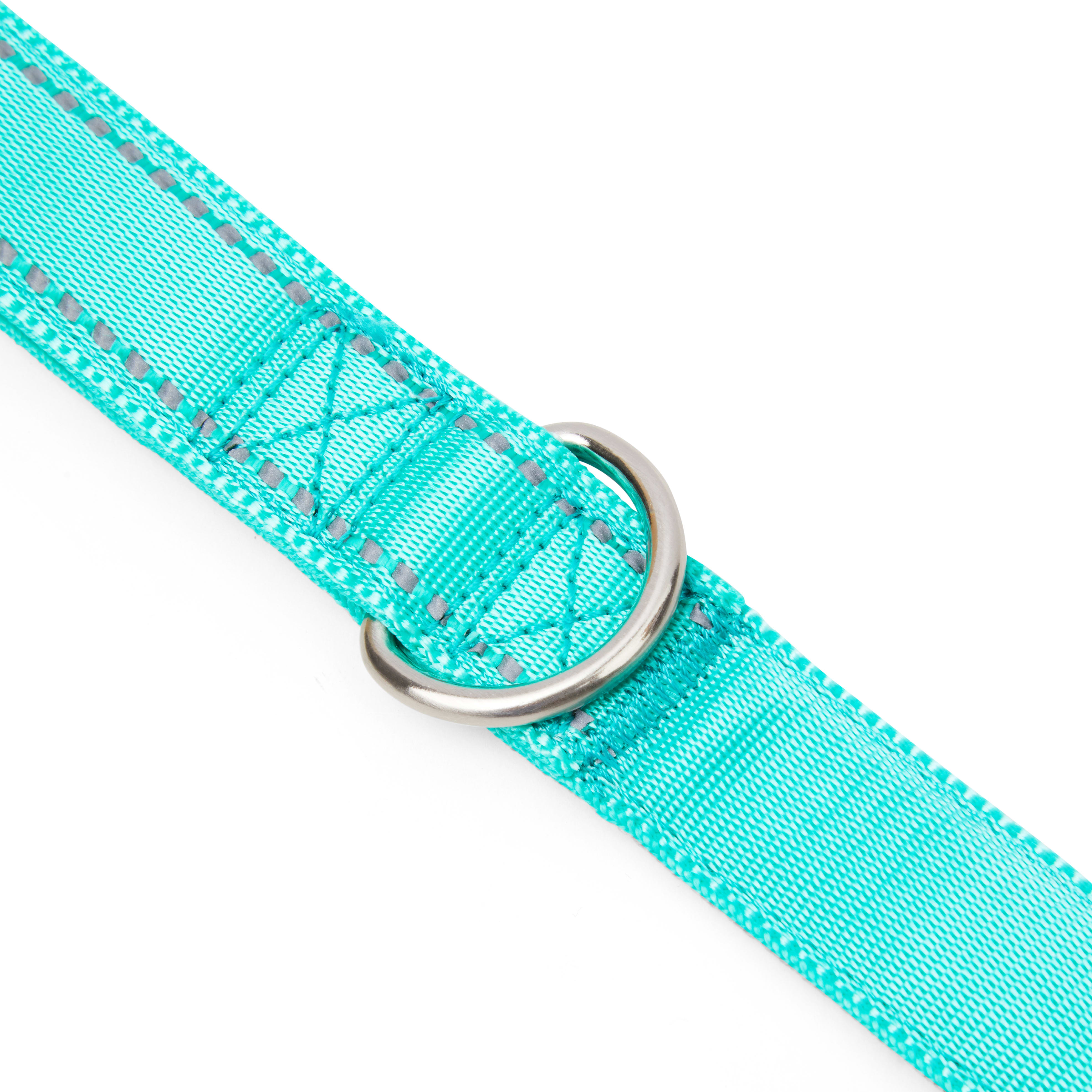 YOULY Reflective Padded Dog Leash in Turquoise， 6 ft.