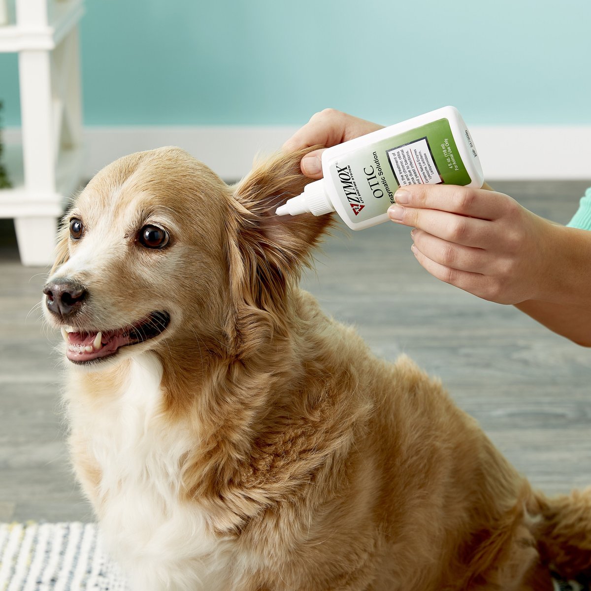 Zymox Otic Dog and Cat Ear Infection Treatment without Hydrocortisone