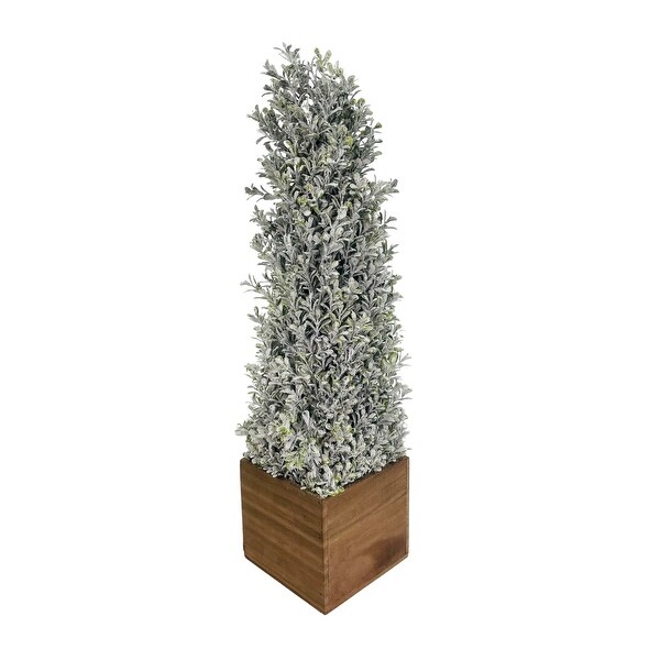 Topiary Snowy Boxwood Cone in Square Planter