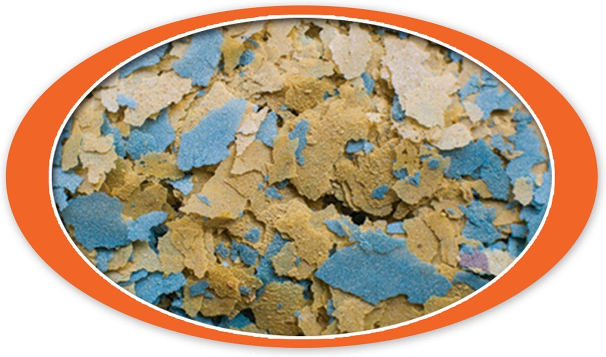 Cobalt Aquatics Goldfish Color Flakes Fish Food