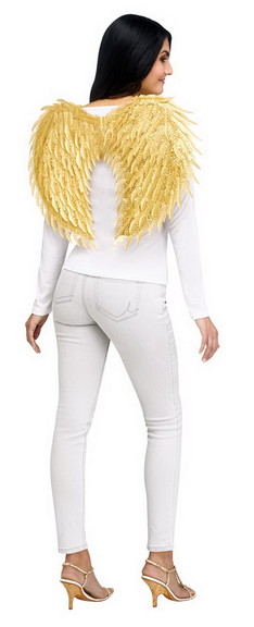 Fun World FW90938 Metallic Angel Wings