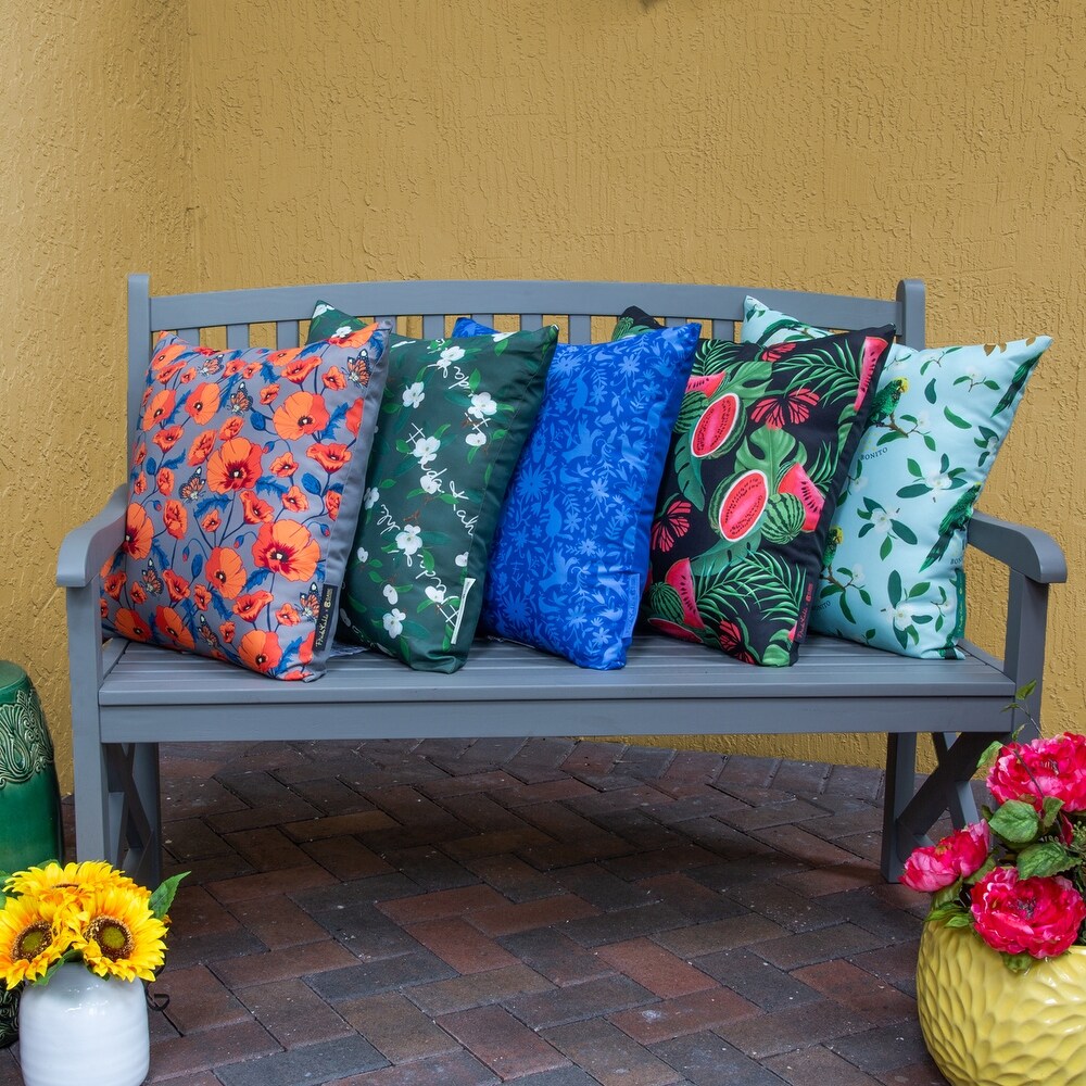 Frida Kahlo + Classic Accessories Accent Pillows  2 Pack  18 Inch