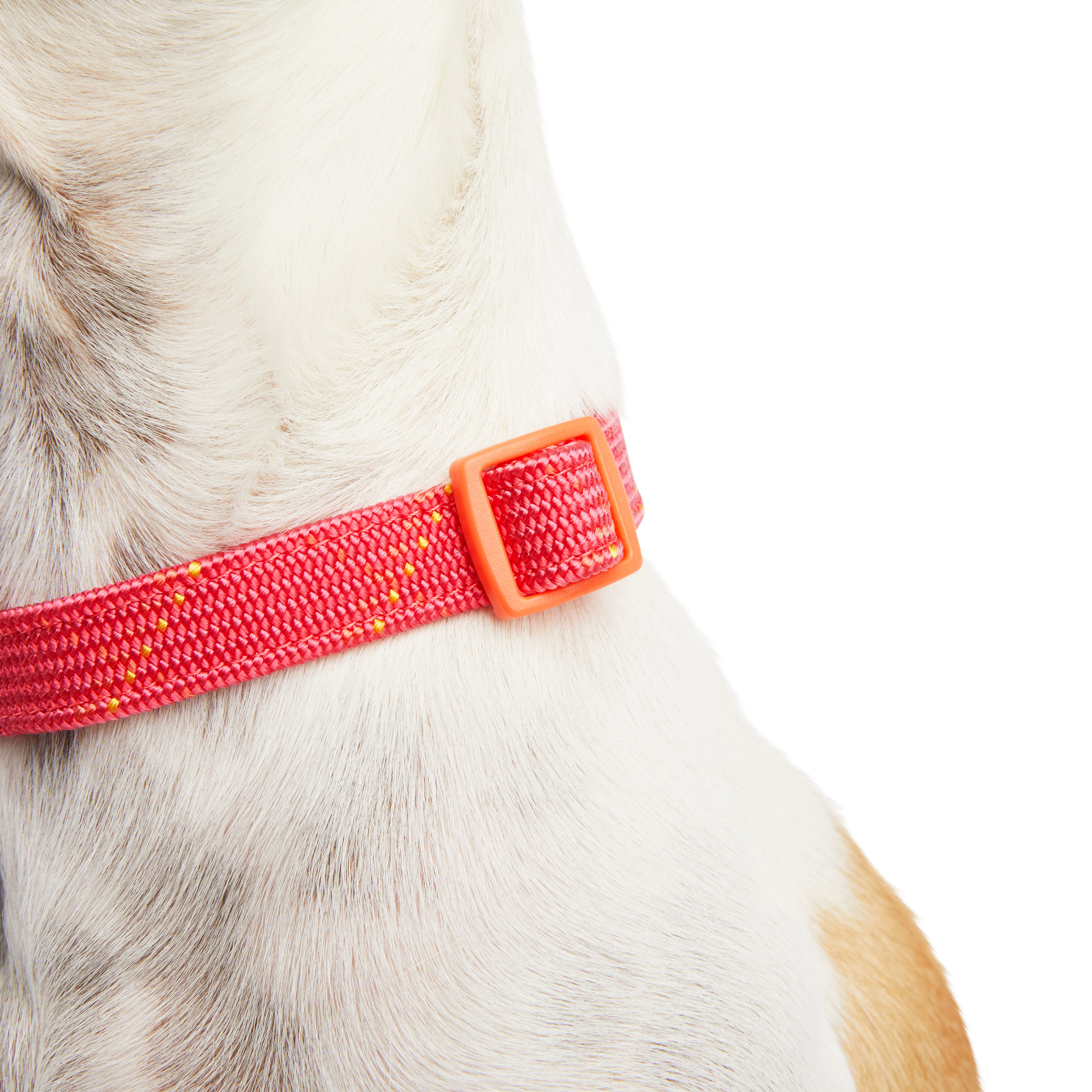 YOULY The Trailblazer Pink  Orange Rope Dog Collar， Small