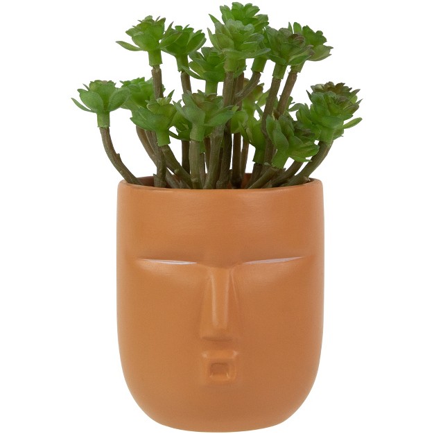 Mini Artificial Succulent In Face Planter Pot