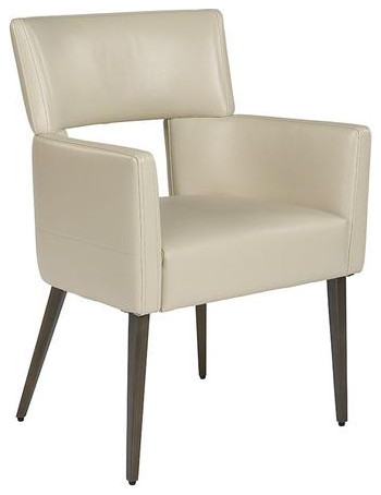 Delana Dining Armchair   Castillo Cream (Set of 2)   Midcentury   Dining Chairs   by Virgil Stanis Design  Houzz