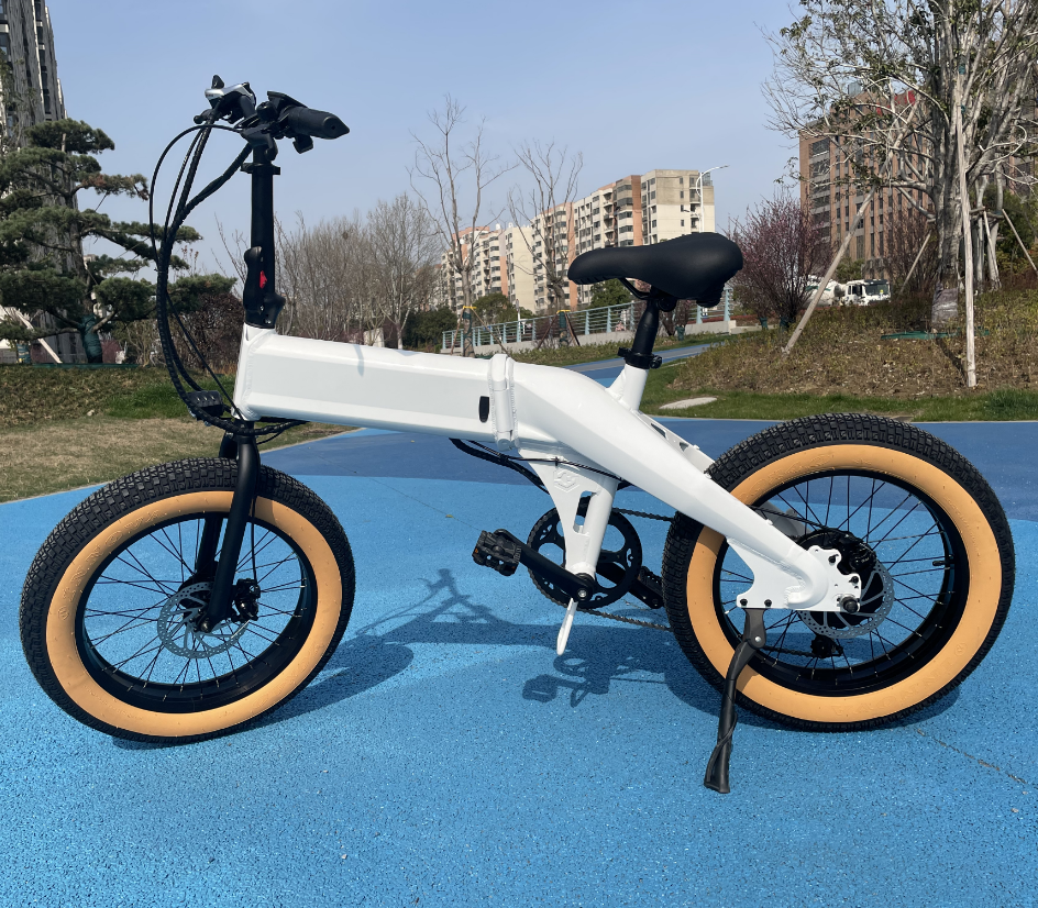 Ridstar Winner Folding Electric Bike Fat Tire Ebike Mountain Bike New Electric Bicycle Cycling US Spot 1000W 500w