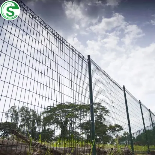 Roll Top BRC Fence Bending Decorative Outdoor Wire Mesh Fence School Supplies Powder Coated Customized Good Quality Fence