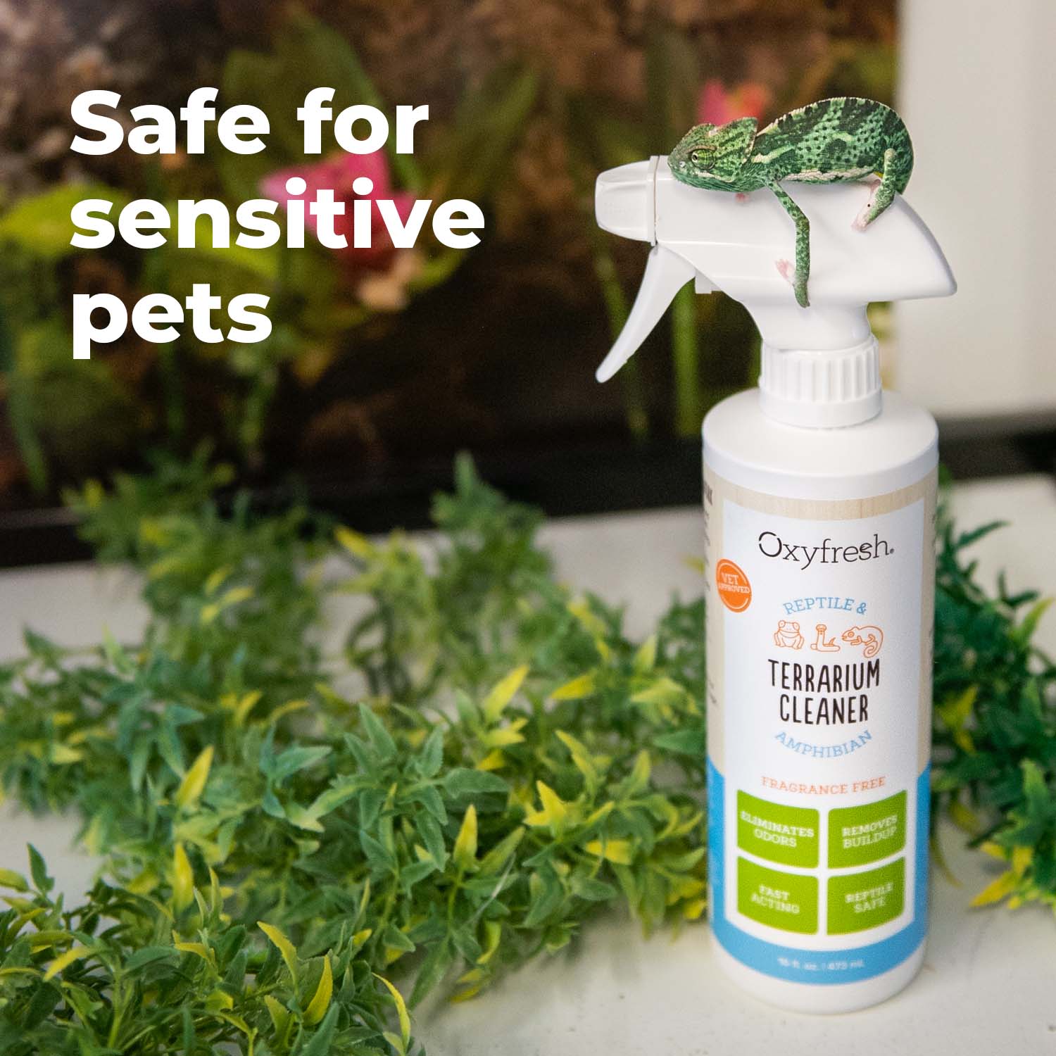 Premium Oxyfresh Terrarium Cleaner – Professional Amphibian and Reptile Terrarium Smell Eliminator – Safe and Quickly Removes Waste and Odors – Streak Free Glass – Bleach Free.