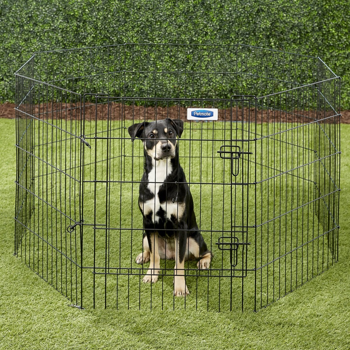 Petmate 8-Panel Wire Dog Exercise Pen with Door， Black