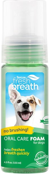 TropiClean Fresh Breath Oral Care Dog Dental Foam