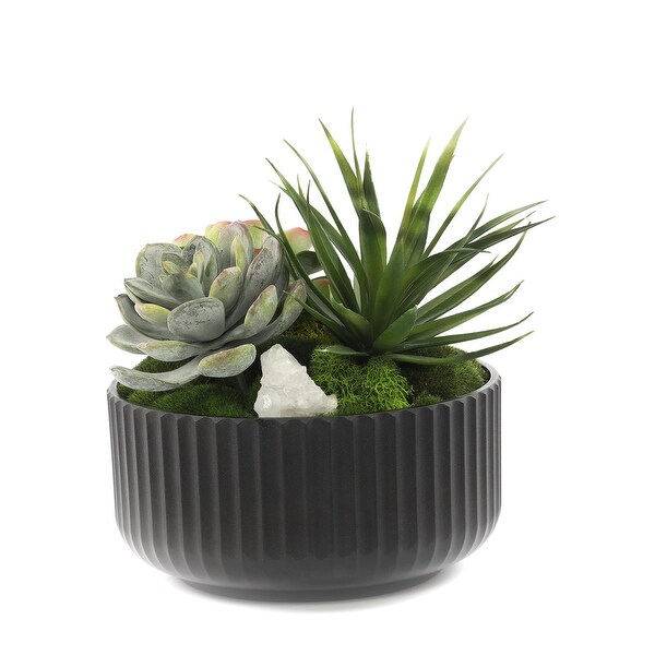 Faux Succulents and Moss Arrangement in Ribbed Black Pot