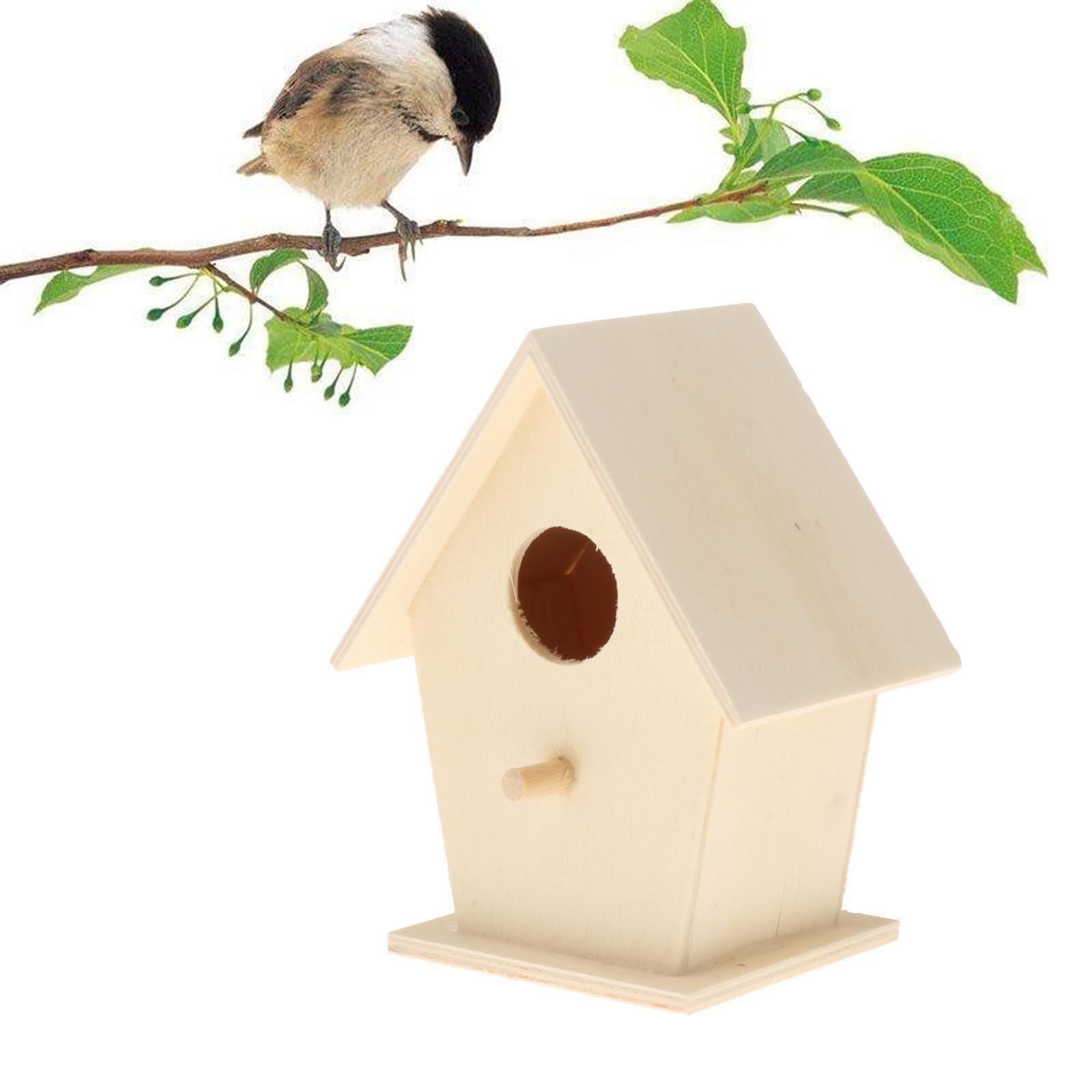 Bird Feeding House， of nesting， Birds Like Parrot，