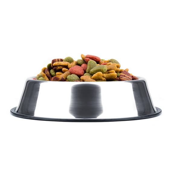 Brybelly 40oz. Stainless Steel Dog Bowl